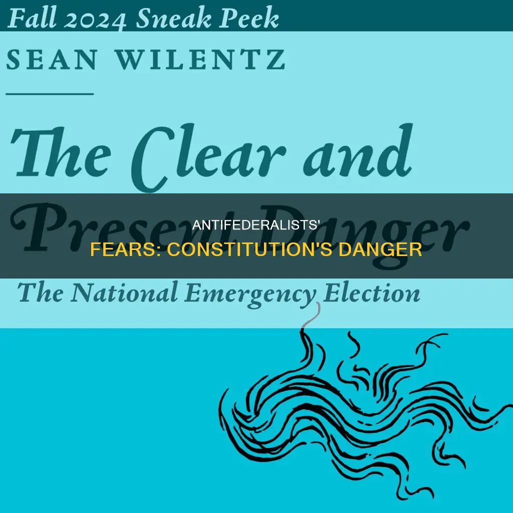 why did the antifederalists think the constitution was dangerous