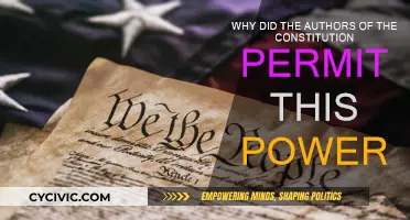 Founders' Intent: Understanding the Constitution's Power Dynamics