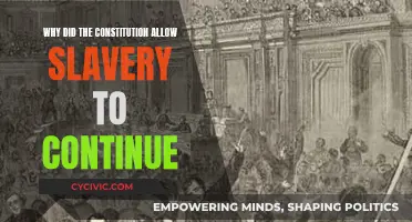 The Constitution's Complicity: Slavery's Continued Existence
