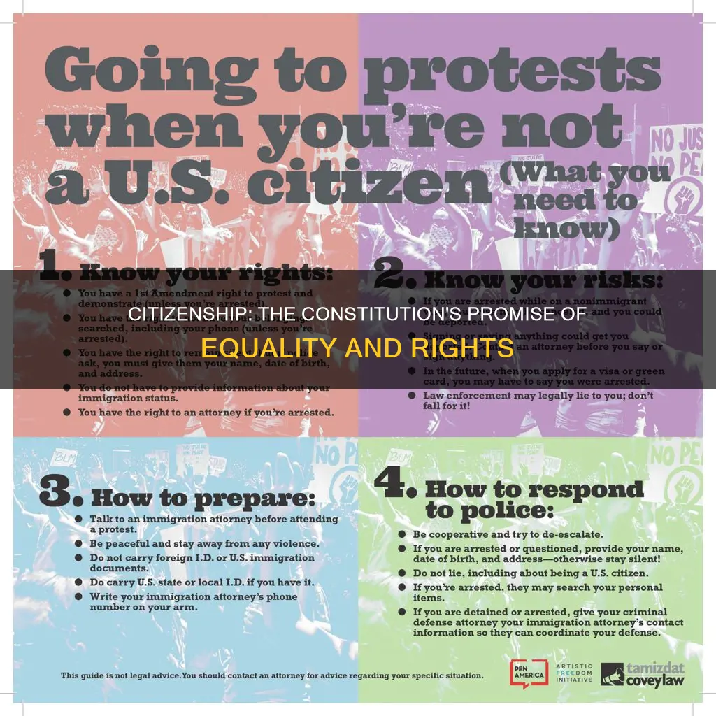 why did the constitution also stand for citizenship