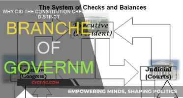 The Constitution's Three Branches: Power Separation