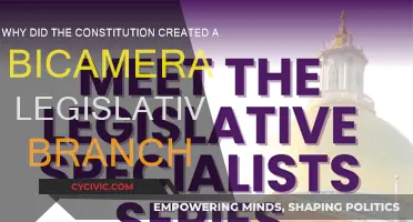 The Constitution's Bicameral Wisdom