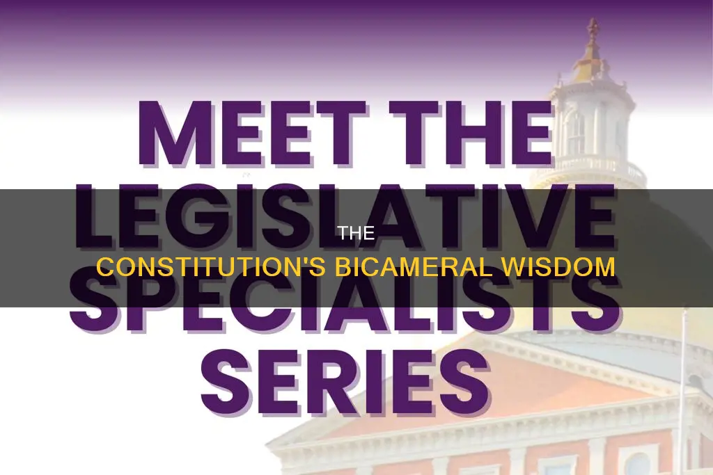 why did the constitution created a bicameral legislative branch
