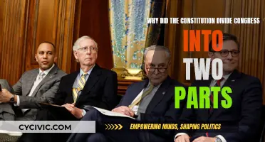 Dividing Congress: Understanding the Constitution's Intent