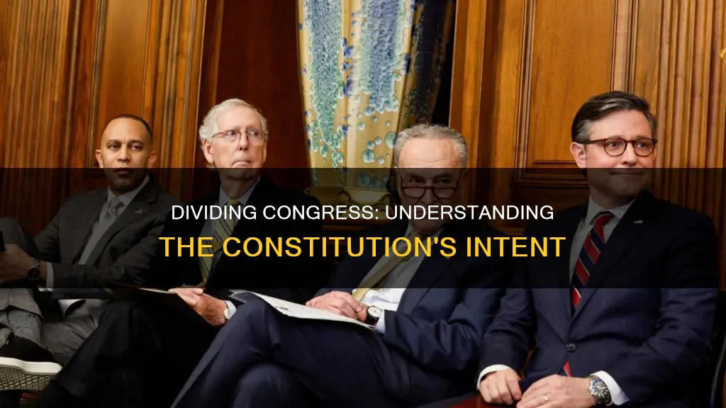 why did the constitution divide congress into two parts