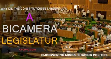 The Constitution's Bicameral Wisdom