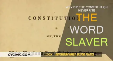 The Constitution's Omission of Slavery: A Historical Mystery