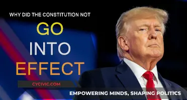 Constitution's Failure: What Went Wrong?