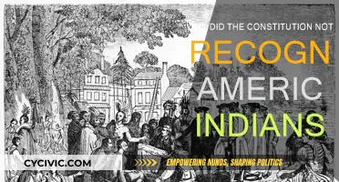 The Constitution's Omission of American Indians: Why?