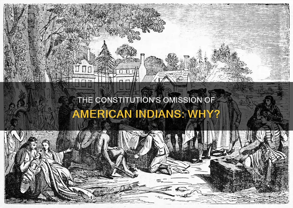 why did the constitution not recognize american indians