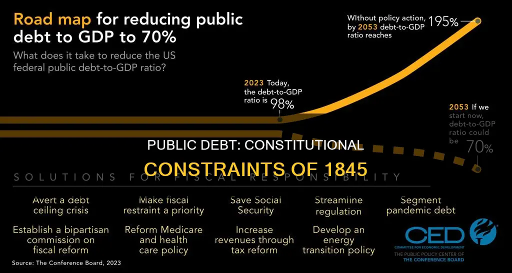 why did the constitution of 1845 limit the public dept