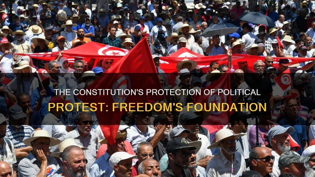 why did the constitution provide protection for political protest