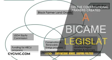Constitutional Framers' Vision: Bicameral Legislature's Benefits
