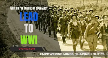 Diplomacy's Failure: The Spark of World War I