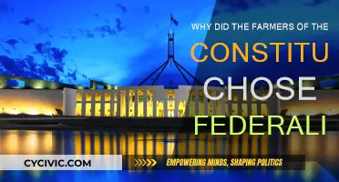 Federalism: The Framers' Vision for a United America