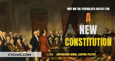 Federalists' Push for a New Constitution: Why?