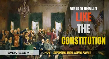 Federalists' Constitution: Power, Unity, and Commerce