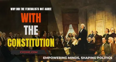 Federalists' Opposition: Misgivings About the Constitution