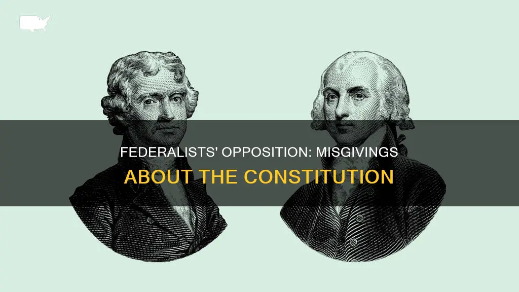 why did the federalists not agree with the constitution