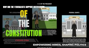 Federalists: Why They Backed the Constitution