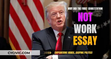 The First Constitution: Why It Failed