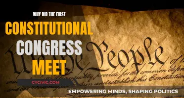 The Constitutional Congress: Why the First Meeting?