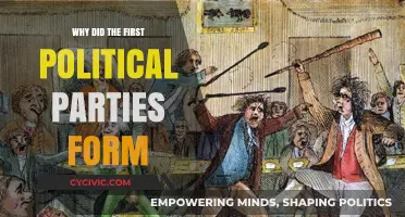 The Birth of Political Parties: Origins and Early Divisions