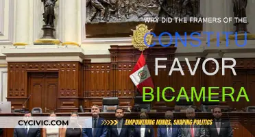 The Benefits of Bicameralism in the US Constitution