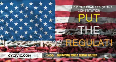 Constitution Framers: Regulation for Stability
