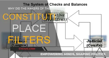 The Constitution: Filtering for a Reason