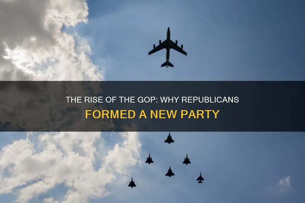 why did the republicans start a new political party