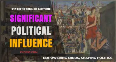 Socialist Party's Rise: Key Factors Behind Their Political Influence
