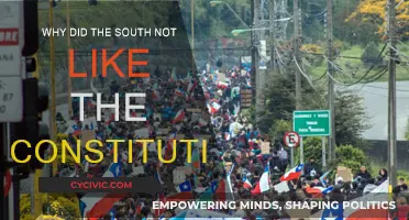 Southern Discontent: Constitution's Unpopularity Explained