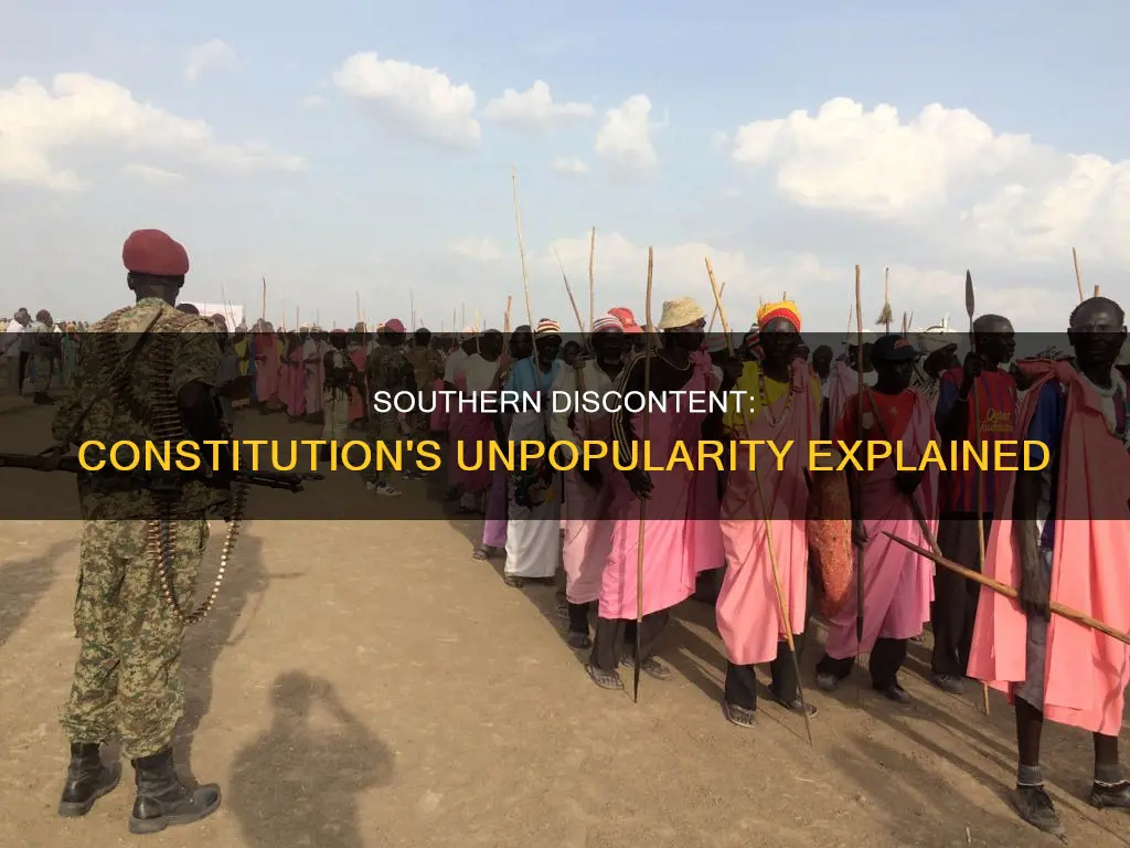 why did the south not like the constitution