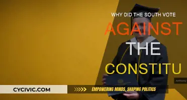 Southern Opposition: Constitution Vote Explained
