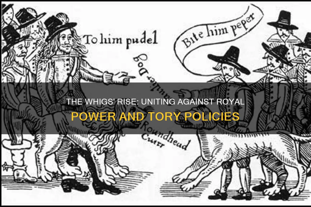 why did the whigs rise as a political party