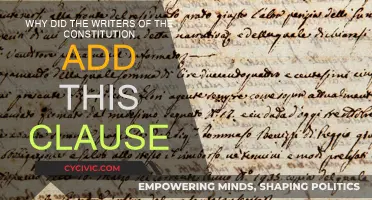 The Constitution's Clause: Why This Addition?