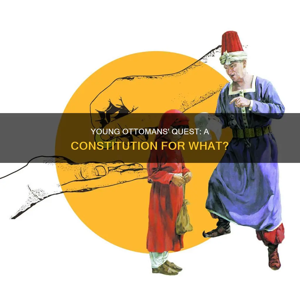 why did the young ottomans want a constitution