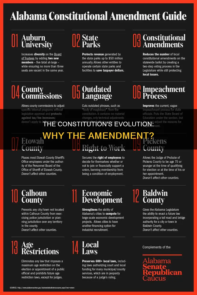 why did they add the constitutuion to the constitution