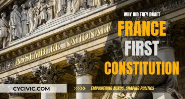 The French Constitution: Why Did They Draft It?