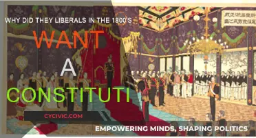Liberals' Constitutional Quest: Freedom and Fairness in the 1800s