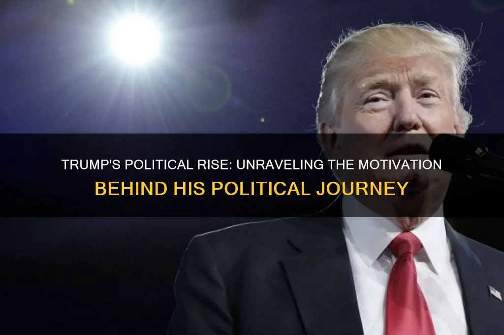 why did trump join politics