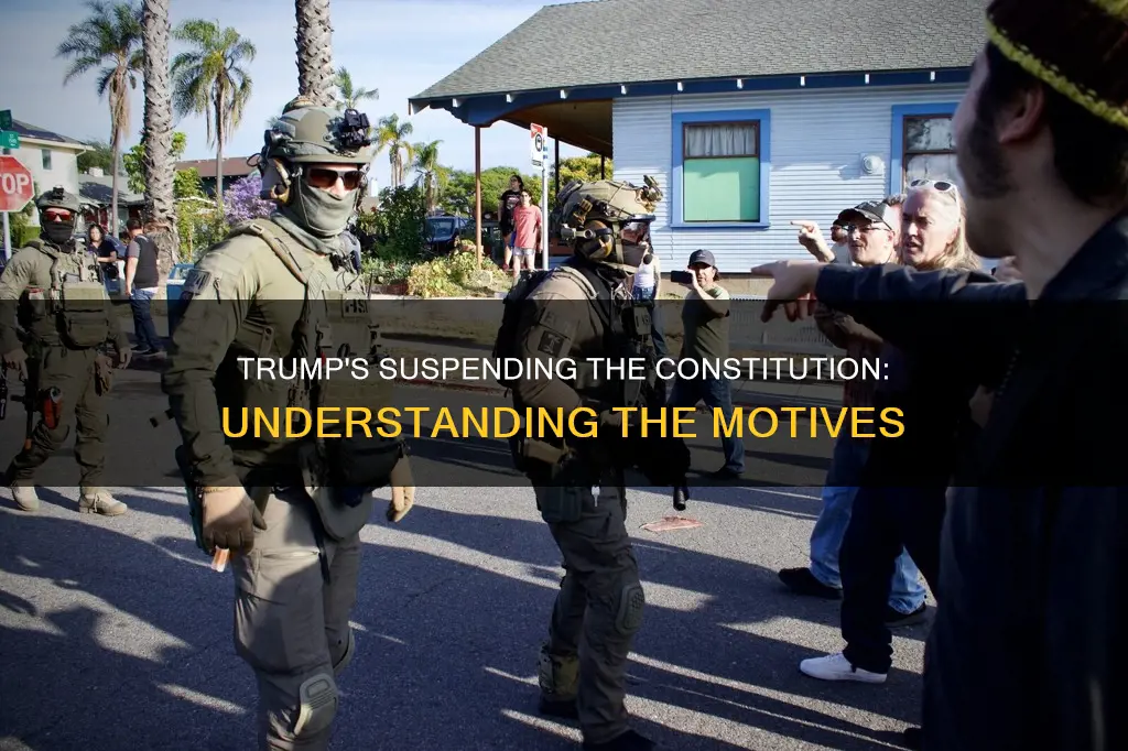 why did trump want to suspend the constitution