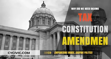 The Income Tax Amendment: Why It's Necessary