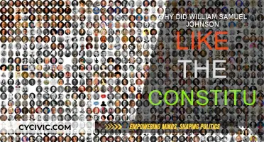 The Constitution: Johnson's Vision for America