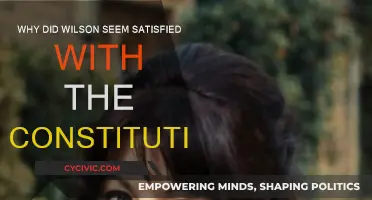 Wilson's Satisfaction: The Constitution's Promise and Delivery