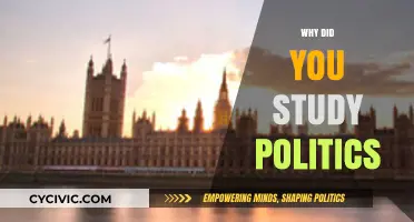 Why I Chose to Study Politics: A Personal Journey
