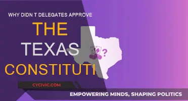 Texas Constitution: Delegates' Disapproval Explained