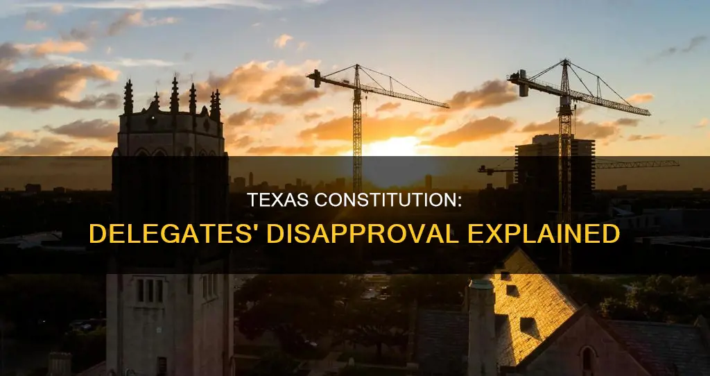 why didn t delegates approve the texas constitution