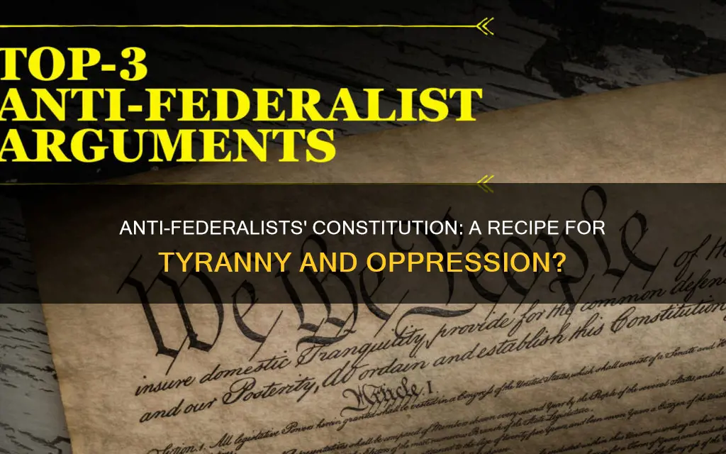 why didnt anti federalists like the constitution